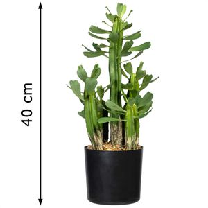Produktbild für Kunstpflanze Creativ-green Euphorbia
