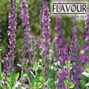 Produktbild für Duftkerzen Gala Flavour 030685593, Lavender