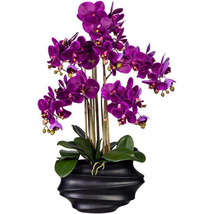in Creativ-green Böttcher Höhe 75 – AG Kunstblume cm lila, Vase, Phalaenopsis, Orchidee,