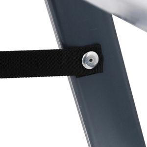 Produktbild für Stehleiter Krause Monto Sepro D, 125828, beidseitig begehbar