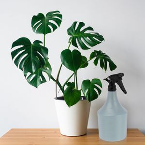 Produktbild für Sprühflasche Relaxdays 10039706, 1 Liter