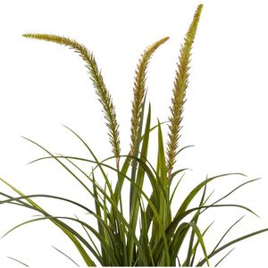 Produktbild für Kunstpflanze Creativ-green Miscanthus