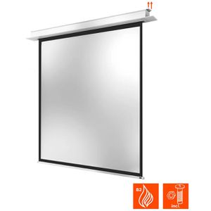 Produktbild für Beamer-Leinwand Celexon Motor Professional Plus