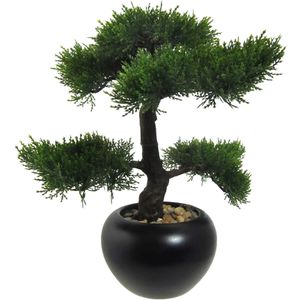 Kunstpflanze Creativ-green Bonsai Zeder