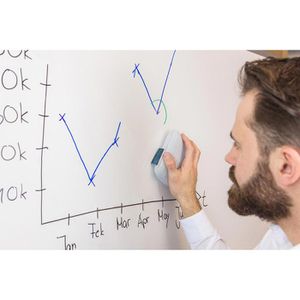 Produktbild für Tafelschwamm Schneider MAXX 296, Mikrofaser