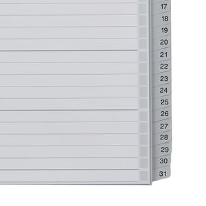 Produktbild für Register Leitz 1281-00-00, A4 Überbreite, 1-31
