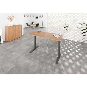 Produktbild für Schreibtisch Hammerbacher XMKA 12, nussbaum / graphit