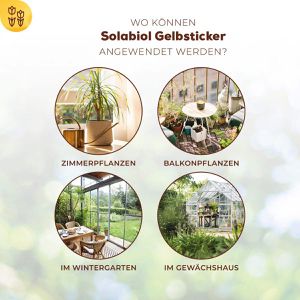Produktbild für Gelbtafeln Solabiol Gelbsticker, 8 x 14 cm, zum Stecken