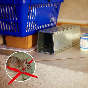 Produktbild für Rattenfalle Gardigo 62362