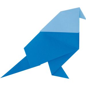 Produktbild für Faltblätter Folia 499/2020 Duo