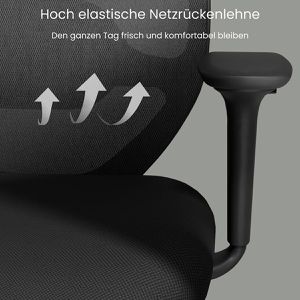 Produktbild für Bürostuhl FlexiSpot C5B-PRO