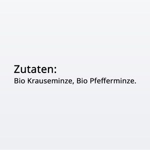 Produktbild für Tee Meßmer Mint Kiss, BIO