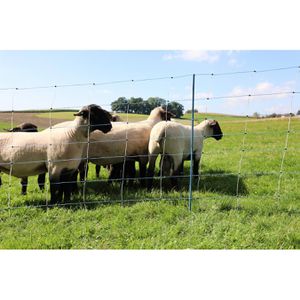 Produktbild für Weidezaunnetz AKO TitanNet Premium Vario 27833, Schafnetz