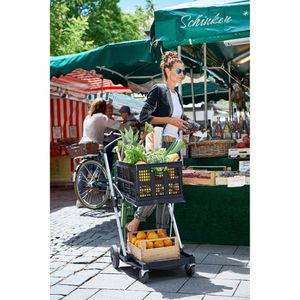 Produktbild für Transportwagen CLAX Klappmobil, Grey Edition, mit Klappbox