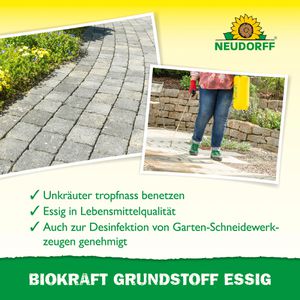Produktbild für Grundstoff Neudorff BioKraft Essig, Konzentrat
