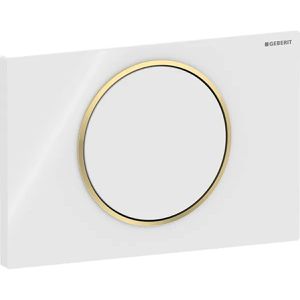 Produktbild für Betätigungsplatte Geberit Sigma10, aus Kunststoff, für WC