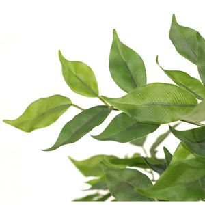 Produktbild für Kunstpflanze hJh-OFFICE Ficus