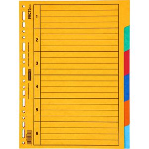 Register Brunnen FACT!plus 1066585, A4, blanko