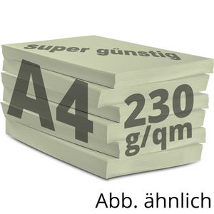 Produktbild für Kopierpapier Papyrus Rainbow 88376519