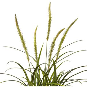 Produktbild für Kunstpflanze Creativ-green Miscanthus