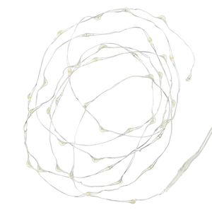 Produktbild für Lichterkette Frank-Flechtwaren 221392, 40 LED, innen + außen