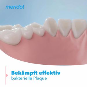 Produktbild für Zahnpasta Meridol Rundumpflege