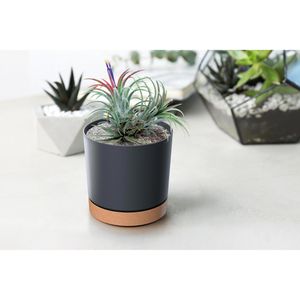 Produktbild für Übertopf Prosperplast Tubo PM, anthrazit, Ø 13 x 13 cm