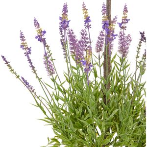Produktbild für Kunstpflanze Creativ-green Lavendelstamm