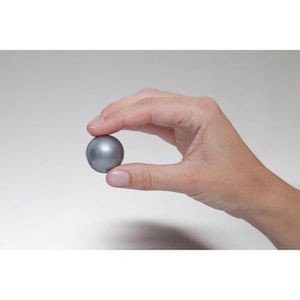 Produktbild für Magnete Maul 61660, silber
