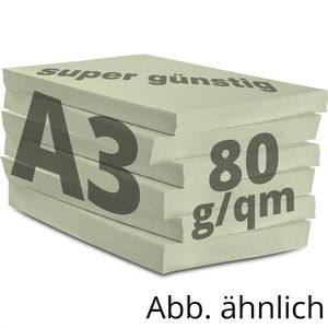 Produktbild für Kopierpapier Papyrus Rainbow 88042588
