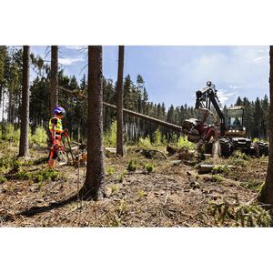 Produktbild für Forsthelm Protos Integral Arborist G16, grün-gelb