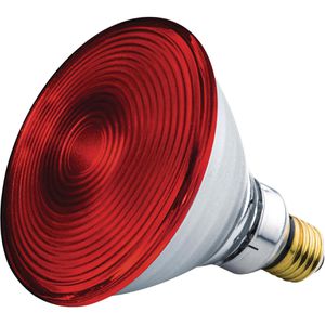 Infrarotlampe Beurer IL 21/35