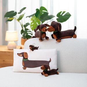 Produktbild für Kuscheltier NICI 61898