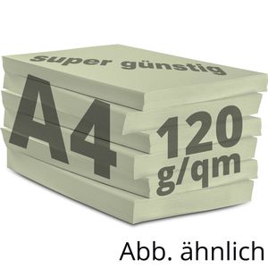 Produktbild für Kopierpapier Papyrus Rainbow 88042590
