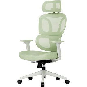 Bürostuhl FlexiSpot BS5LG