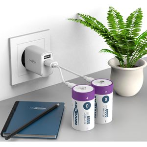 Produktbild für Akku Ansmann 1314-0005, 1,5 V, 5400 mAh
