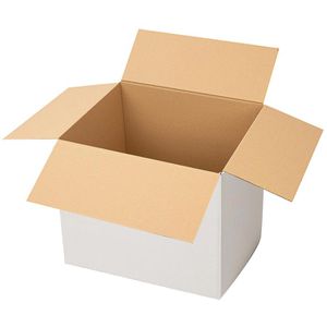 Faltkartons Smartboxpro 2-wellig, 10 Stück