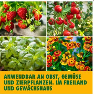 Produktbild für Schneckenkorn Etisso Schnecken-Linsen, regenfest
