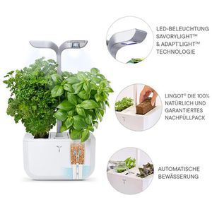 Produktbild für Anzuchtkasten Veritable Exky Smart, 20x18,2x45,6cm