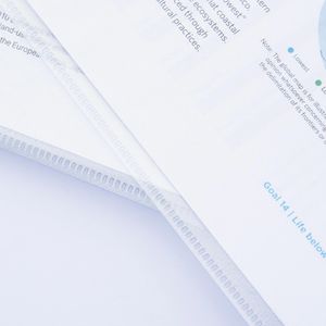 Produktbild für Sichthüllen RAPESCO 1829, ECO, transparent, A4