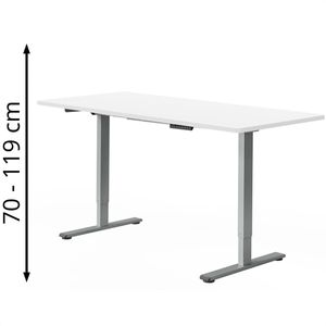Schreibtisch FlexiSpot E1S Pro, weiß / grau