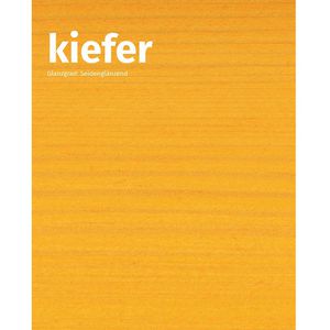 Produktbild für Holzlasur Remmers Dauerschutz-Lasur UV, 2,5l