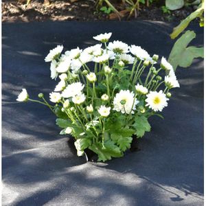 Produktbild für Unkrautvlies Böttcher-AG 94038, 0,9 x 15m