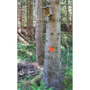 Produktbild für Markierungsspray Stanger Forst-Markierer, rot
