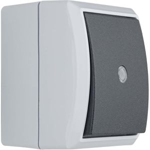 Produktbild für Lichtschalter REV-Ritter AquaForm, grau