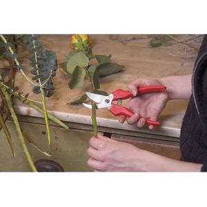 Produktbild für Gartenschere FELCO 300, Leseschere, Bypass