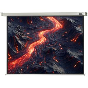 Produktbild für Beamer-Leinwand Celexon Motor Professional