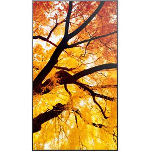 Produktbild für Digital-Signage Sharp MultiSync M502, 50 Zoll