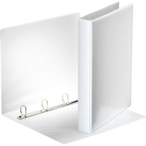 Präsentationsringbuch Esselte 49701, A4