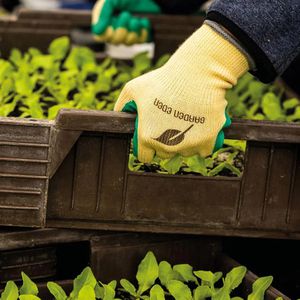 Produktbild für Arbeitshandschuhe ACE-Instruments Garden Eden